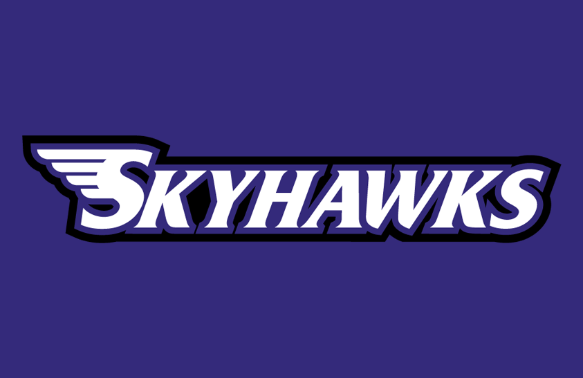 Stonehill Skyhawks 2013 Helmet Logo diy iron on heat transfer